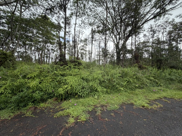Puna Rd Property Photo 5