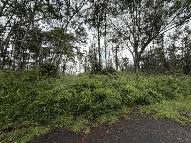 Puna Rd Property Photo 6