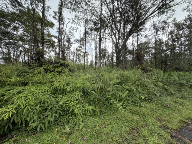 Puna Rd Property Photo 8