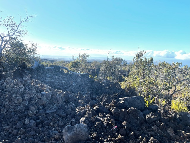 Trade Wind Blvd Property Photo 3