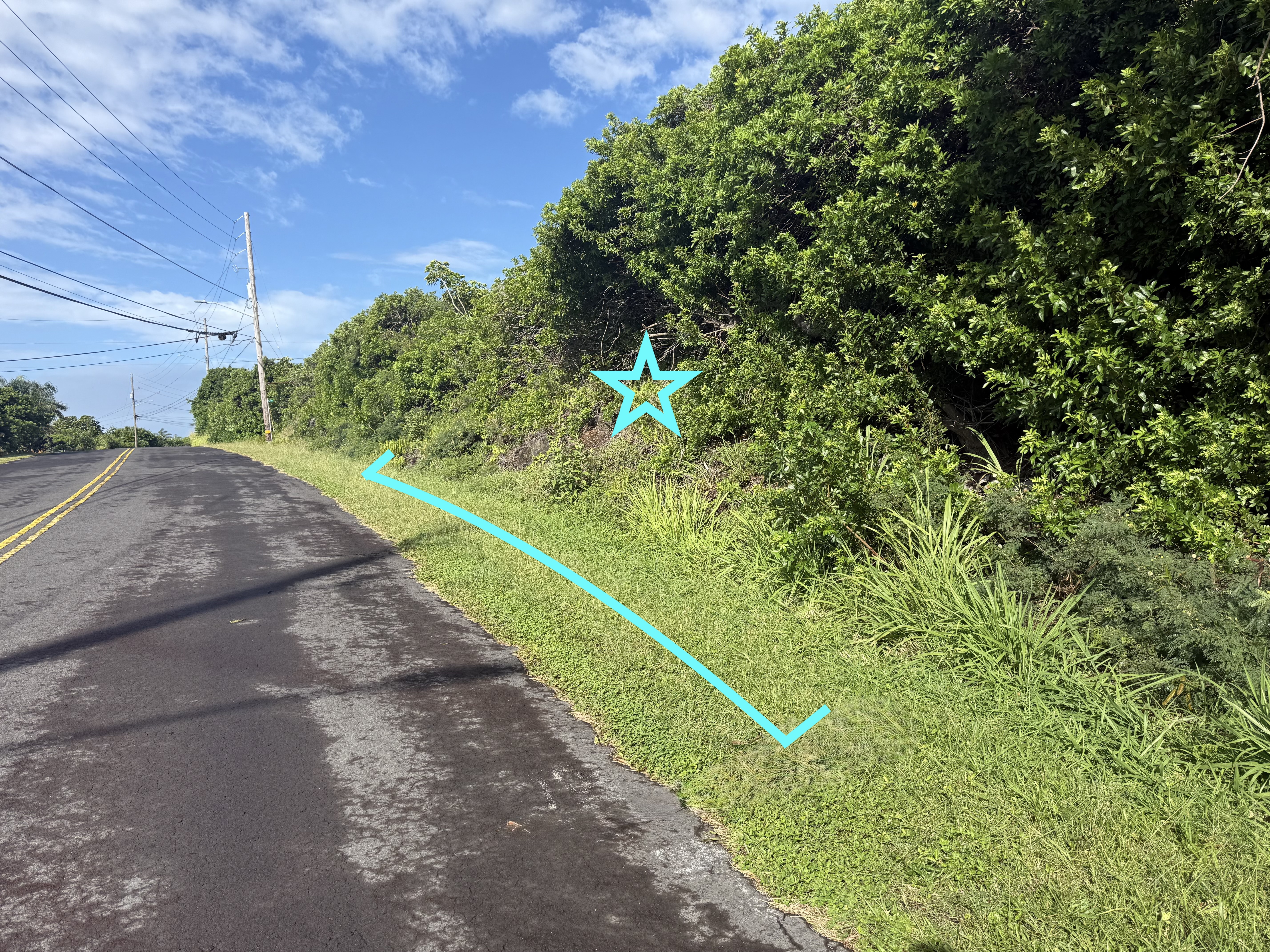 Kahiki St Property Photo 5