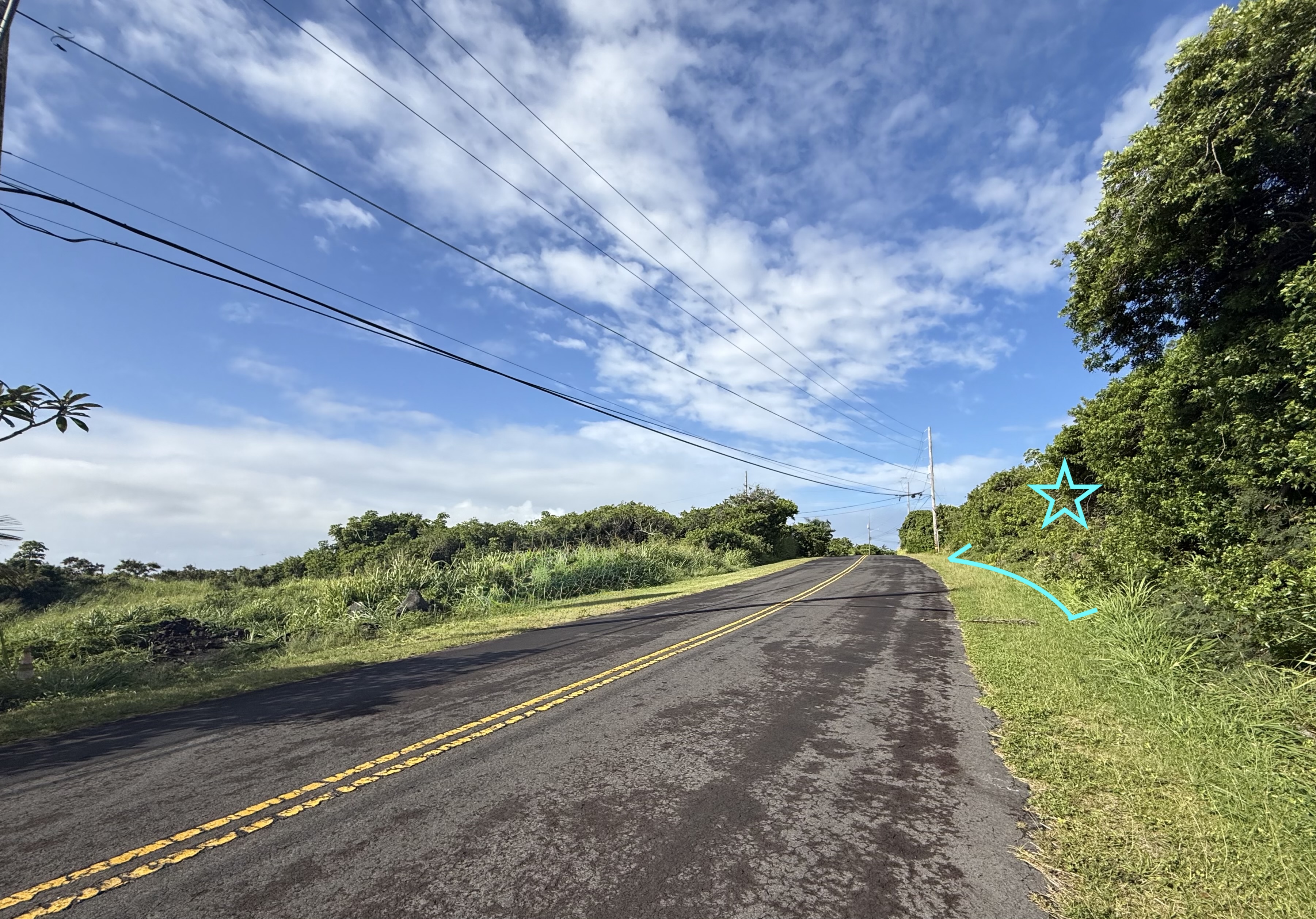 Kahiki St Property Photo 6