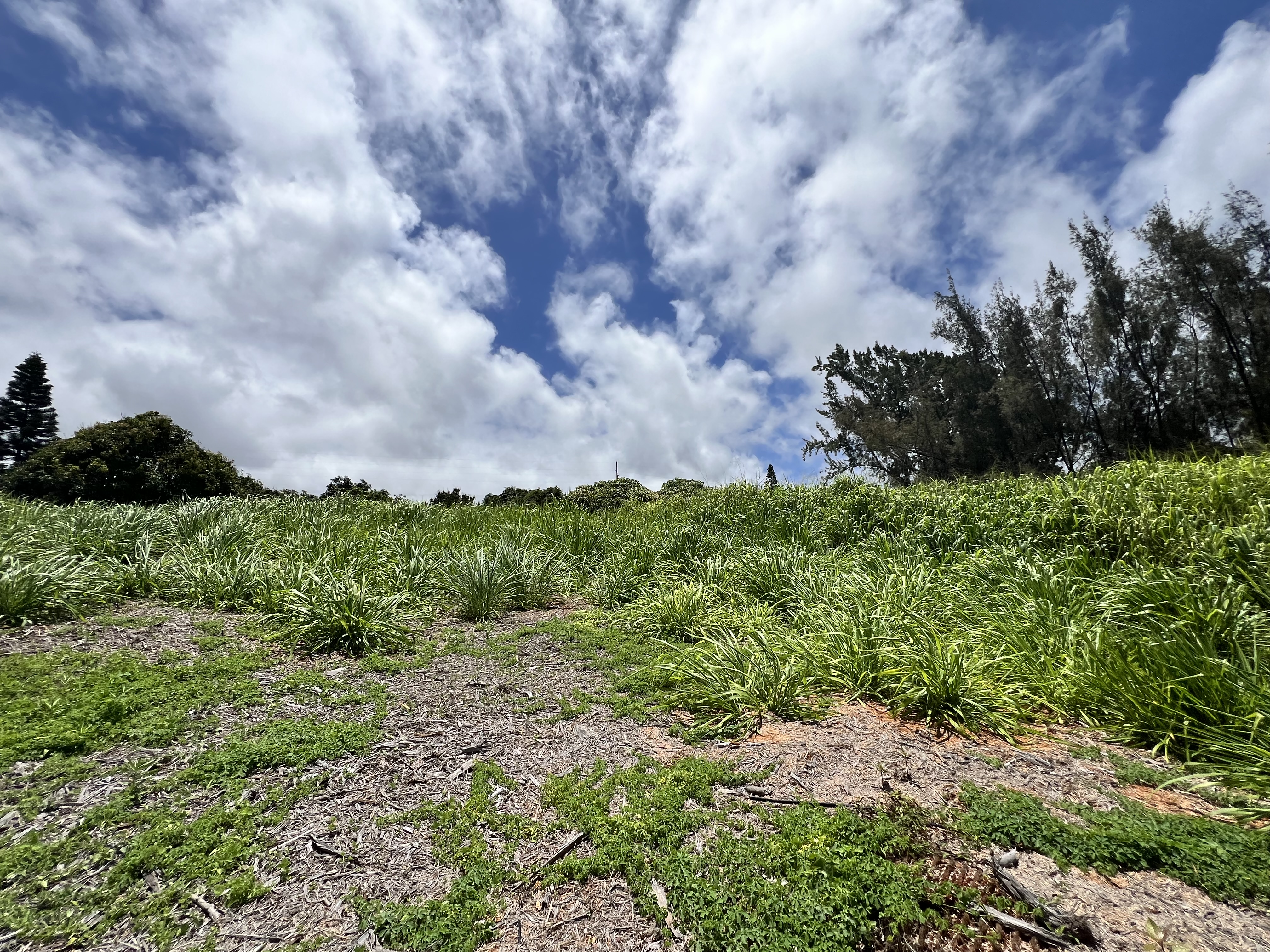 94-6493 Keoki Road Property Photo 4