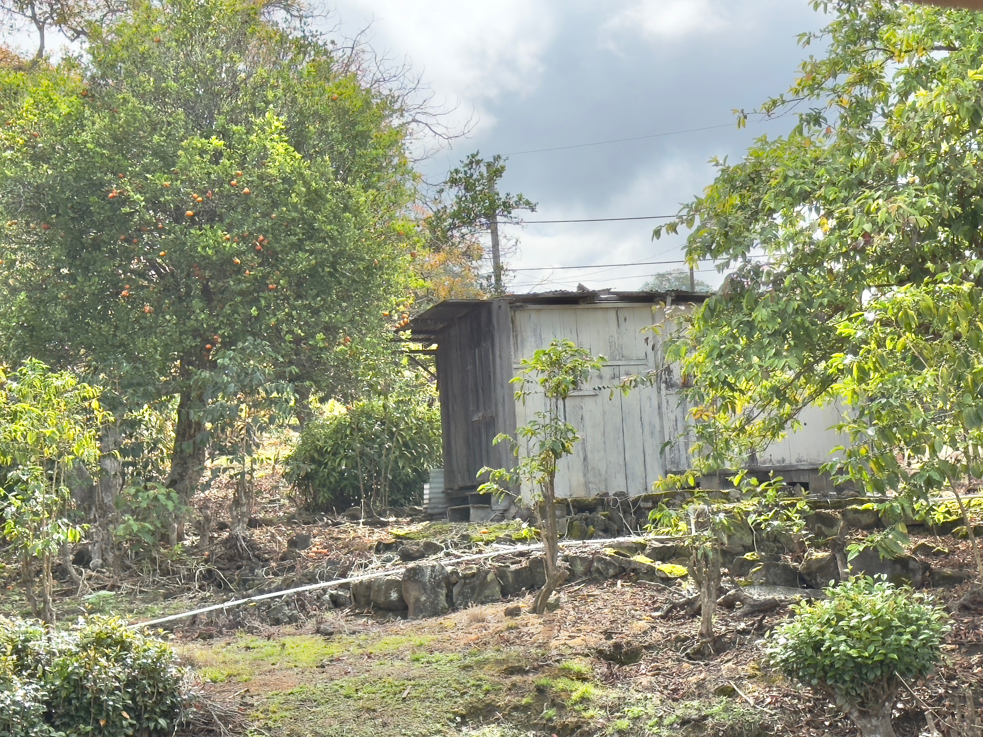 82-1091 Kinue Rd Property Photo 11