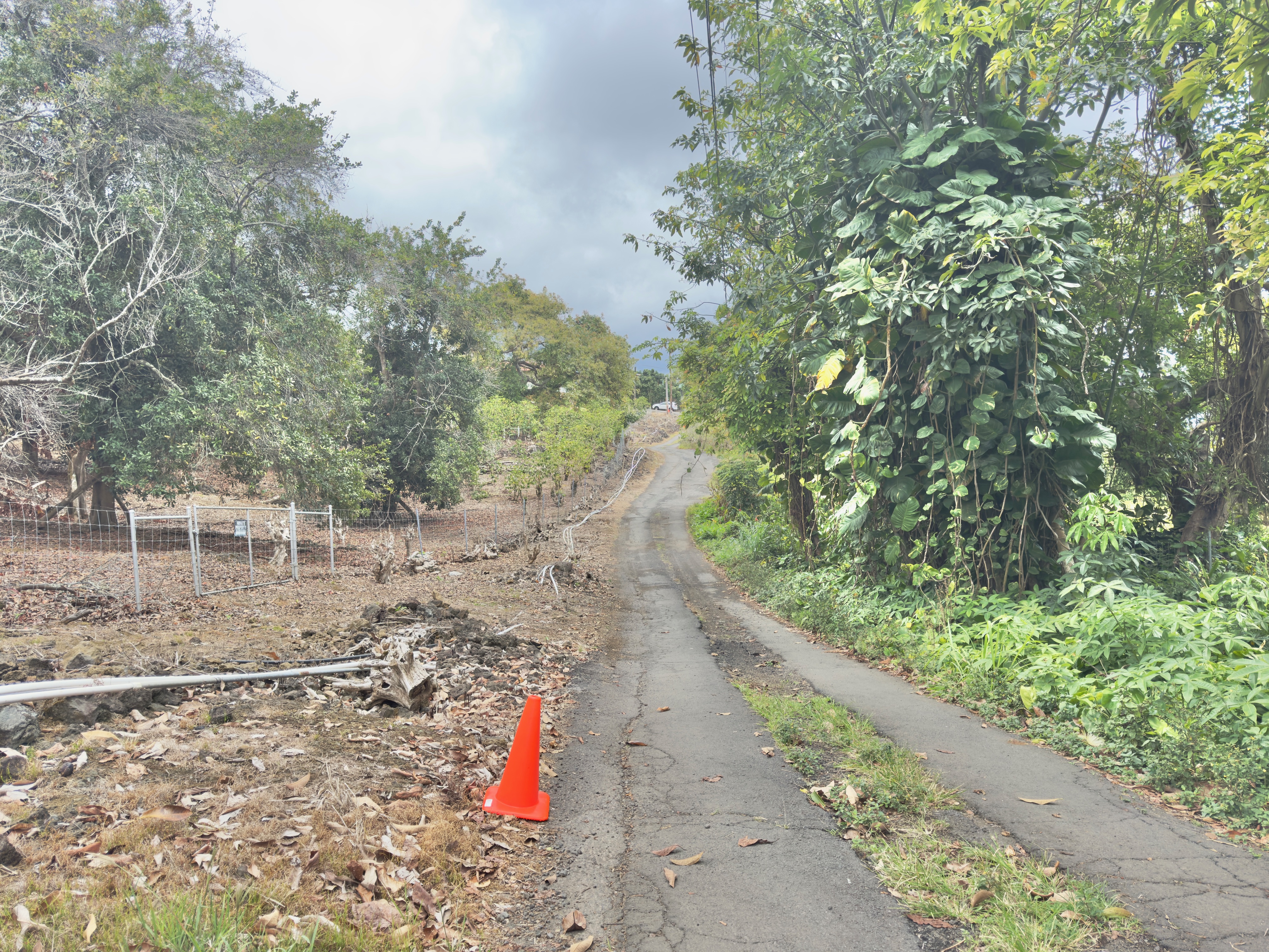 82-1091 Kinue Rd Property Photo 25