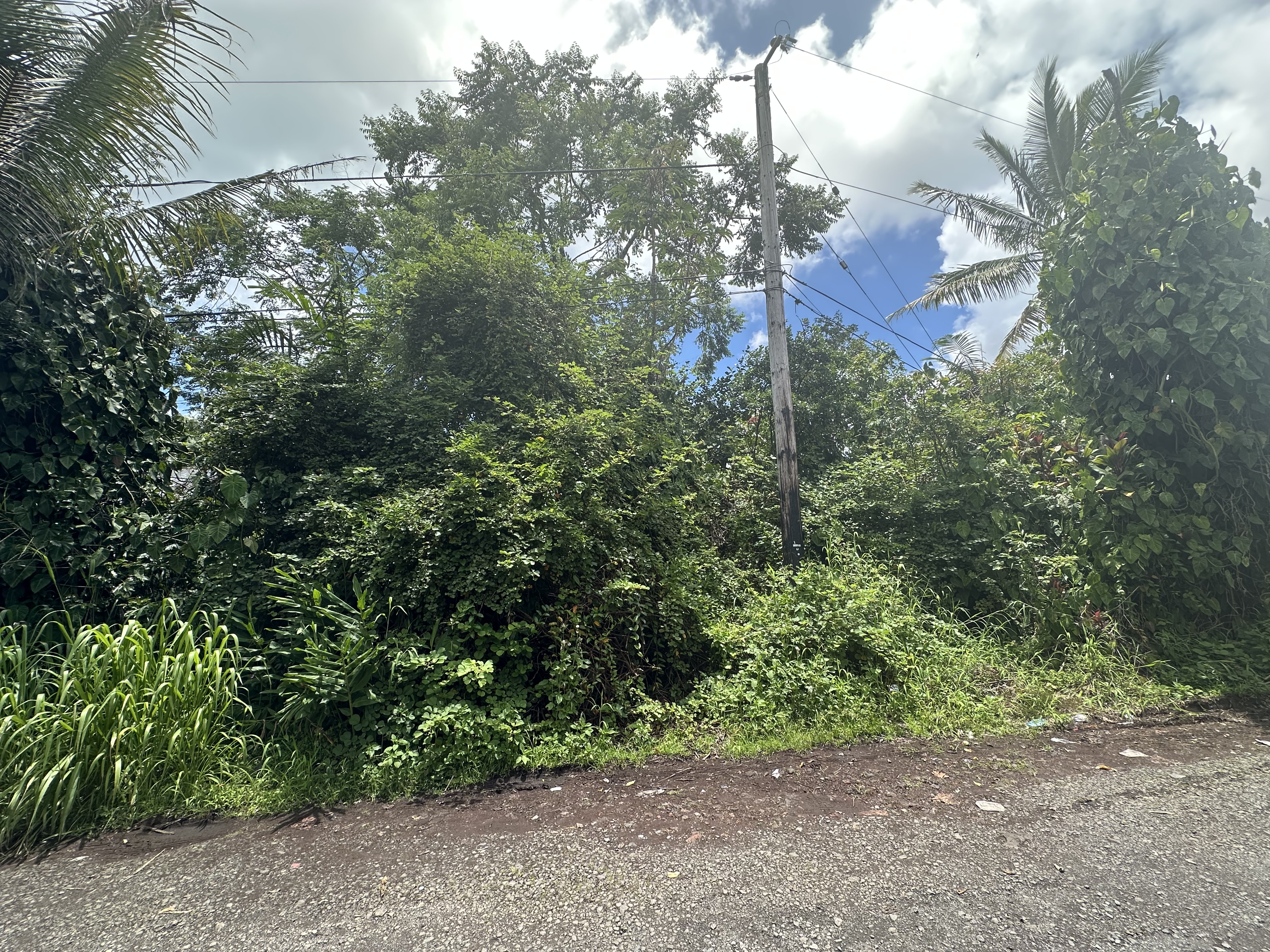 16-462 Ainaloa Blvd Property Photo 3