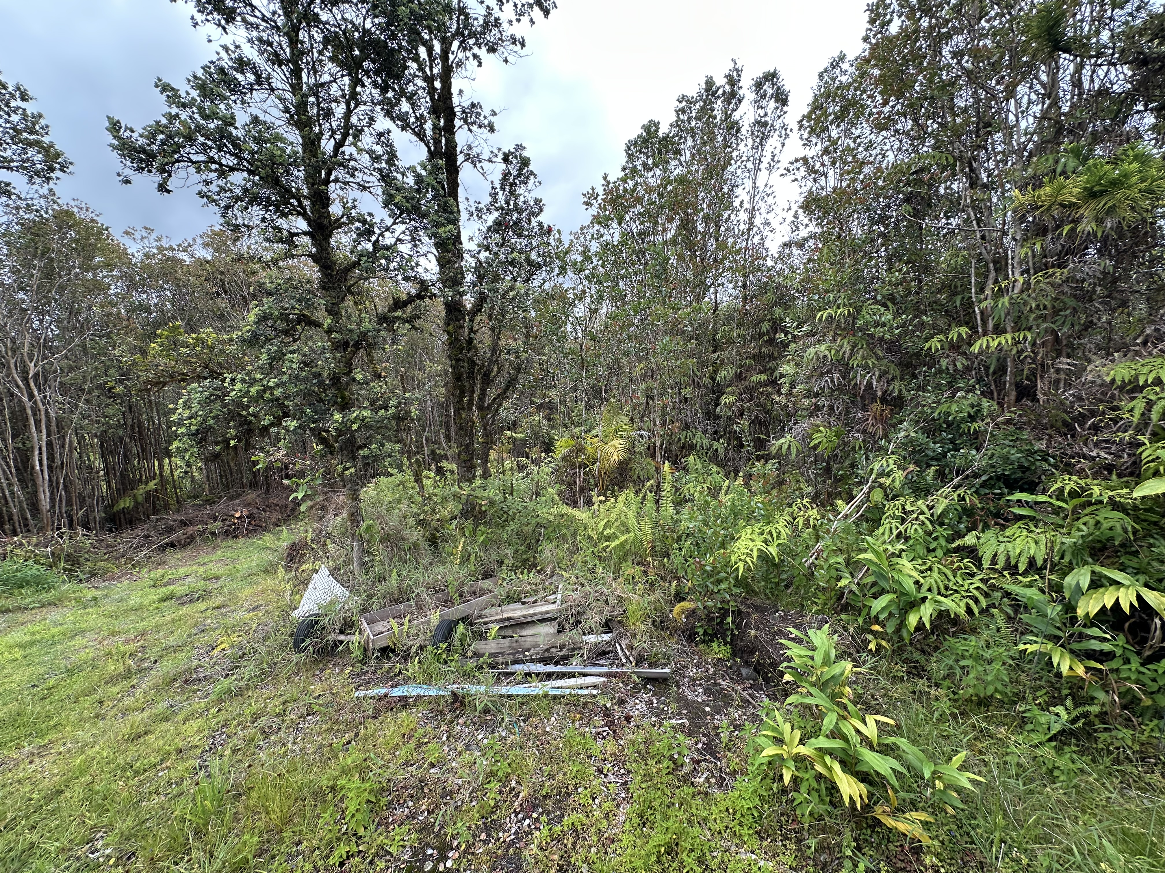 11-1758 Mahina St Property Photo 4