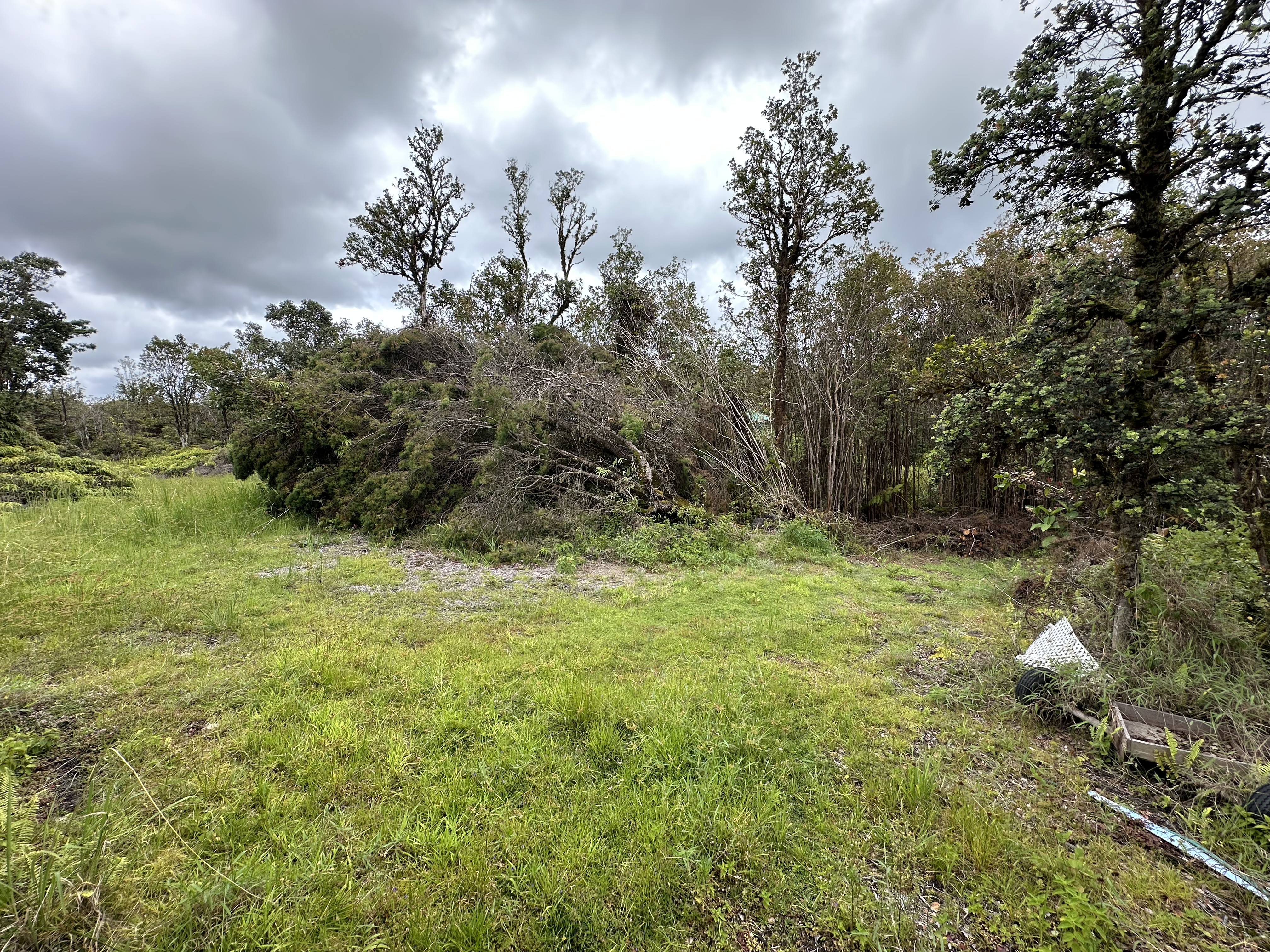 11-1758 Mahina St Property Photo 17