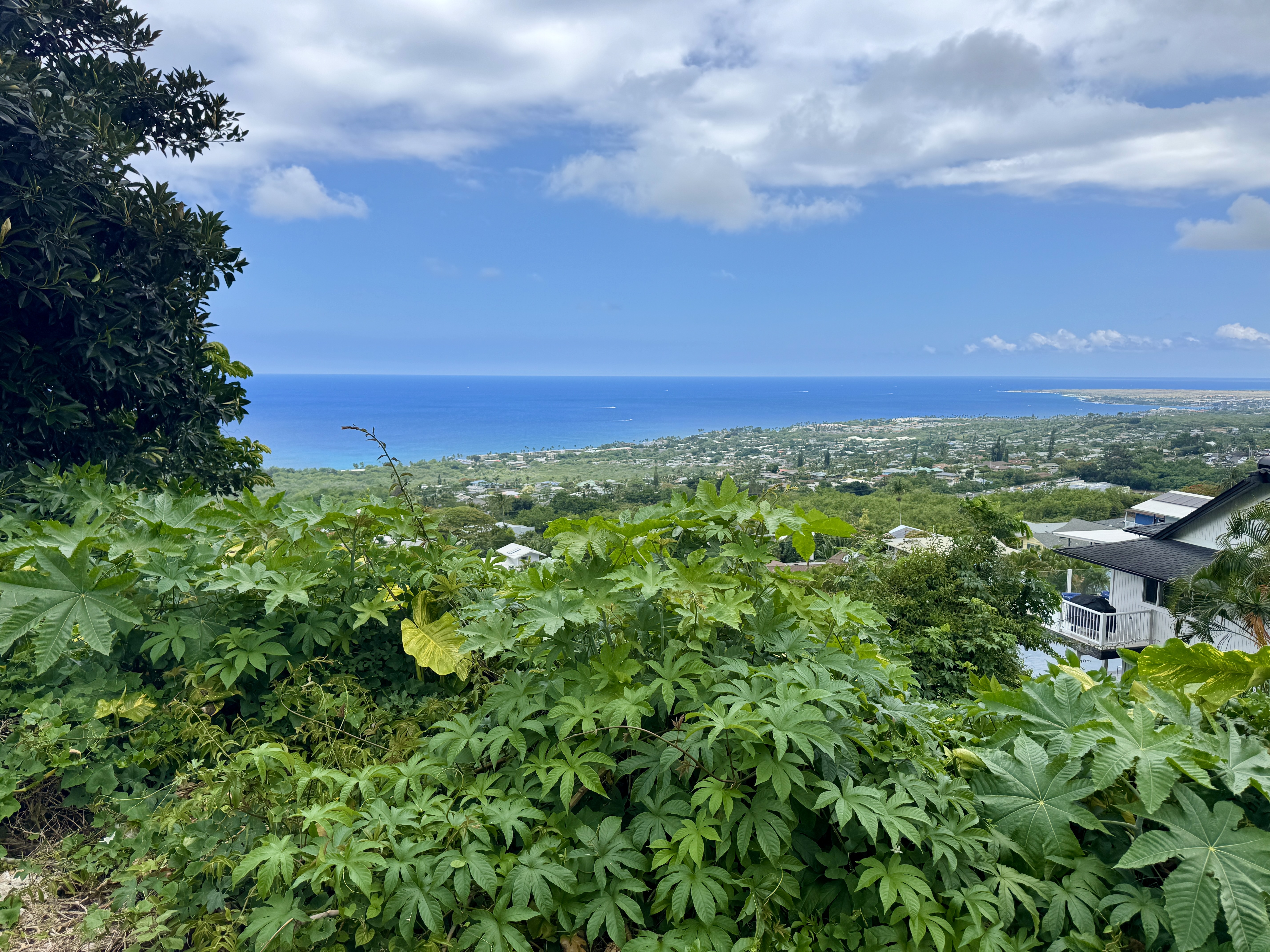 77-6460 Leilani St Property Photo 4