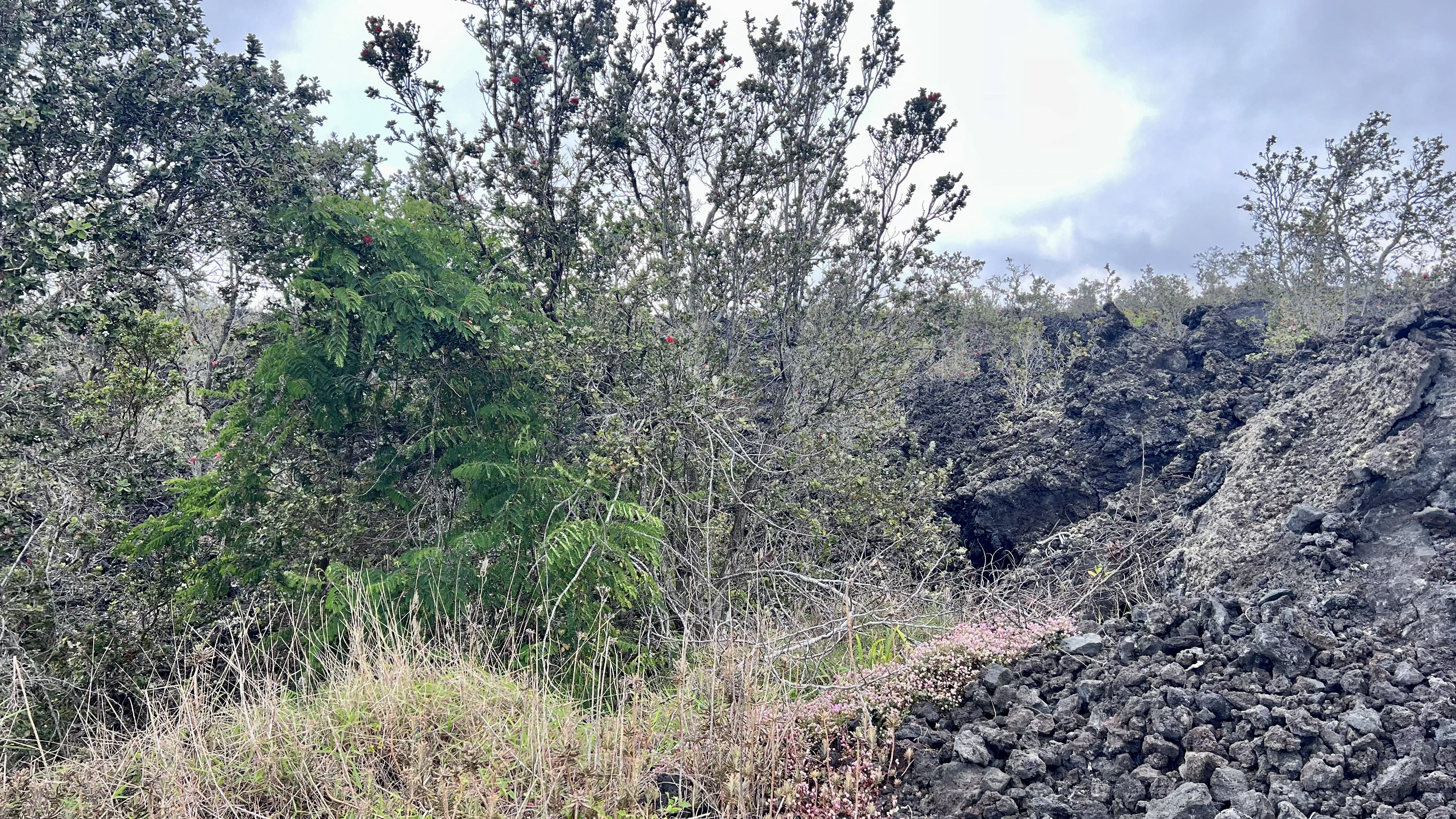 Mahimahi Dr Property Photo 2