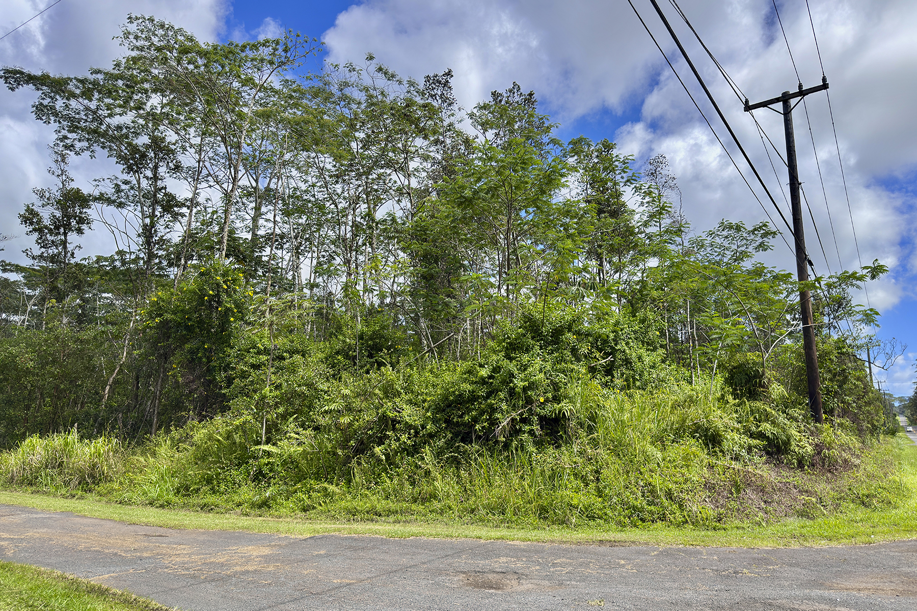 Hilo Rd Property Photo 6