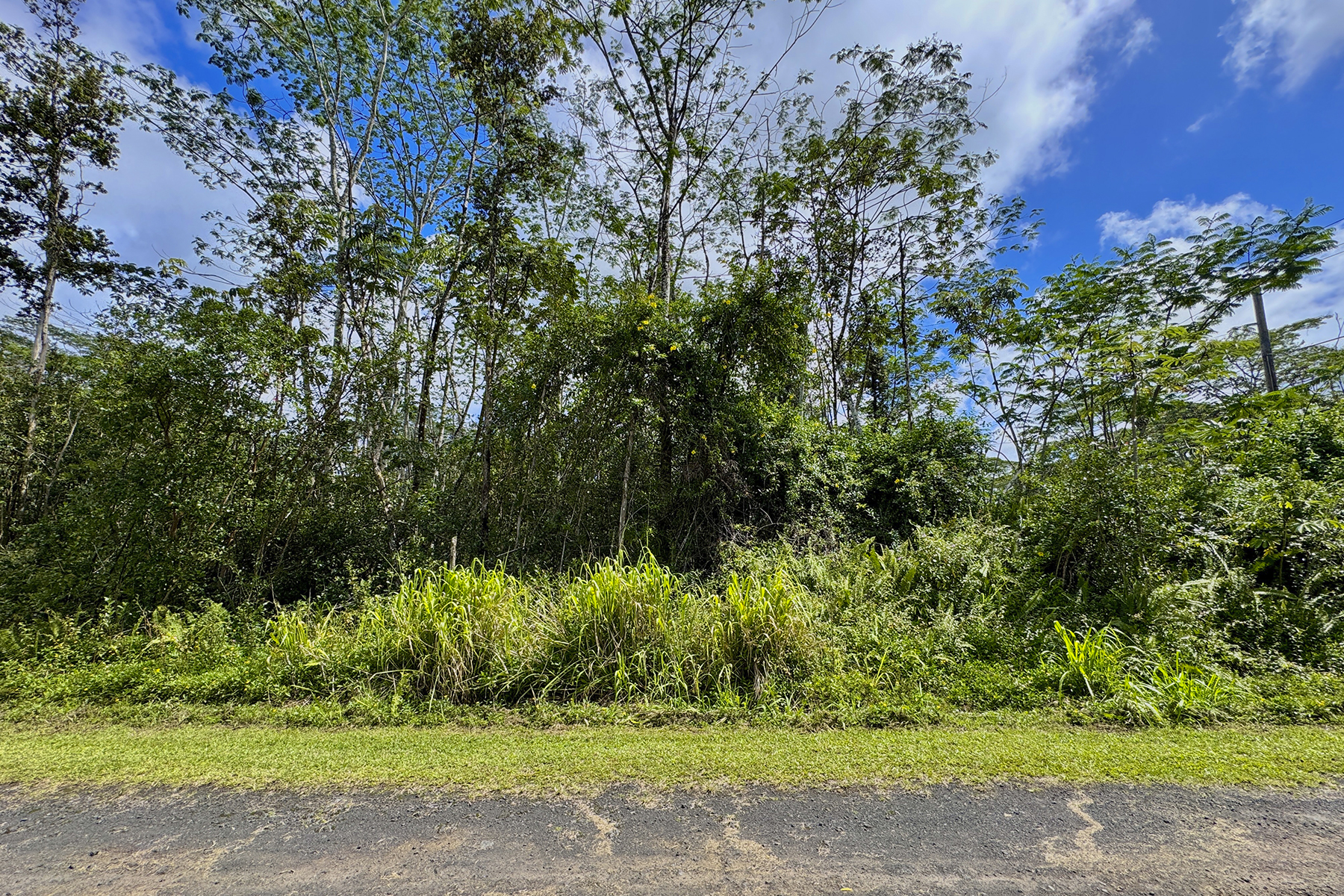 Hilo Rd Property Photo 9