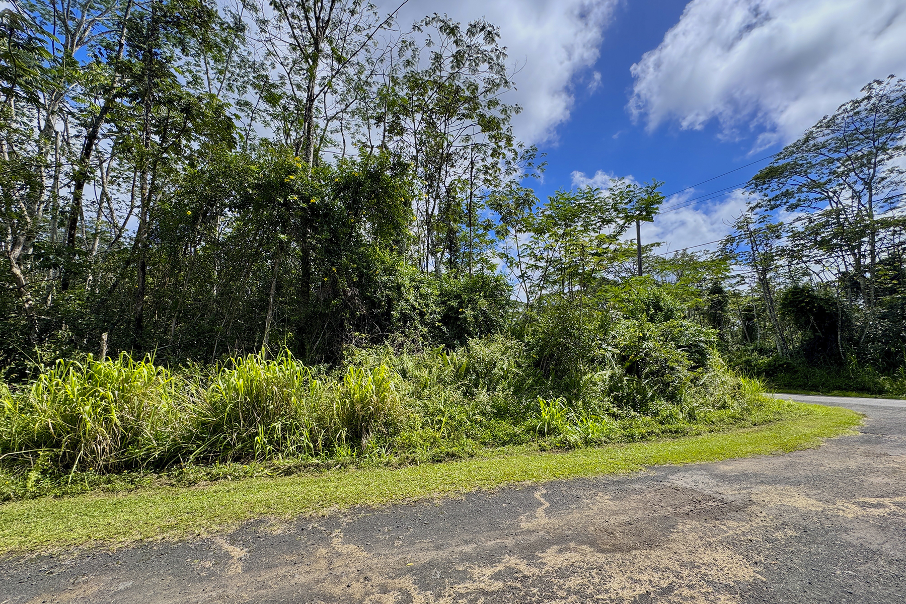 Hilo Rd Property Photo 10