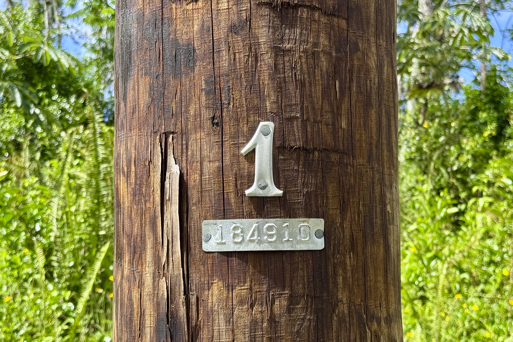 Hilo Rd Property Photo 12