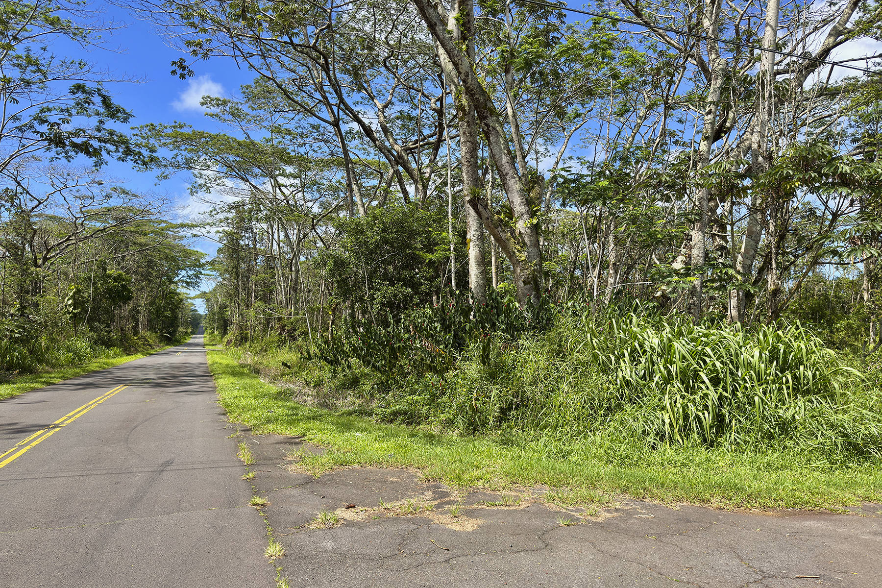 Kauai Rd Property Photo 5