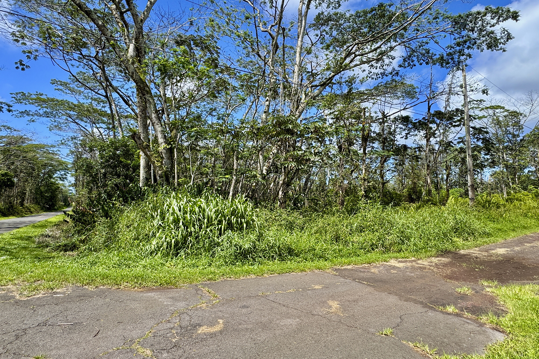 Kauai Rd Property Photo 6