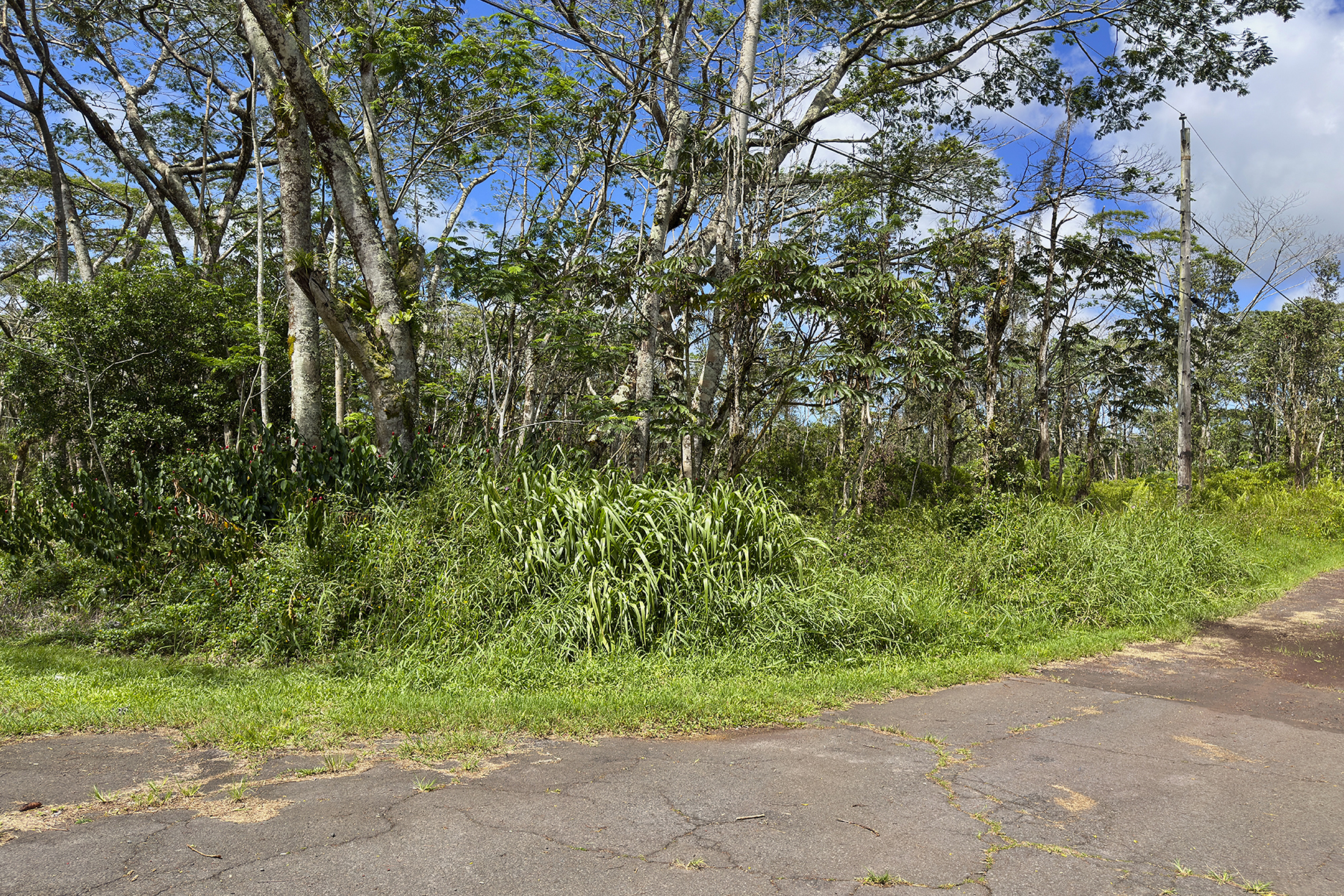 Kauai Rd Property Photo 8