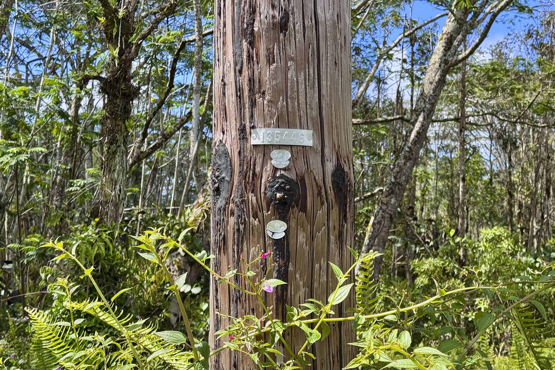 Kauai Rd Property Photo 10