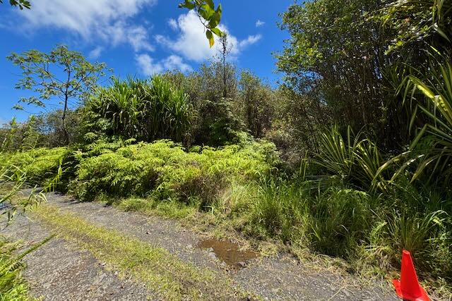 16-1495 Io Kea Rd Property Photo 3