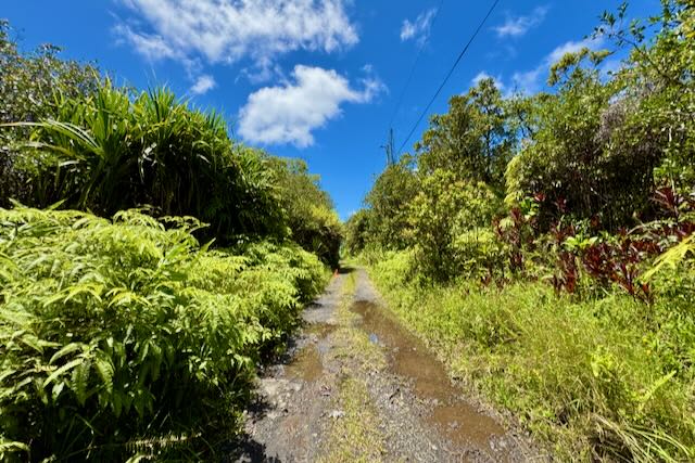 16-1495 Io Kea Rd Property Photo 7