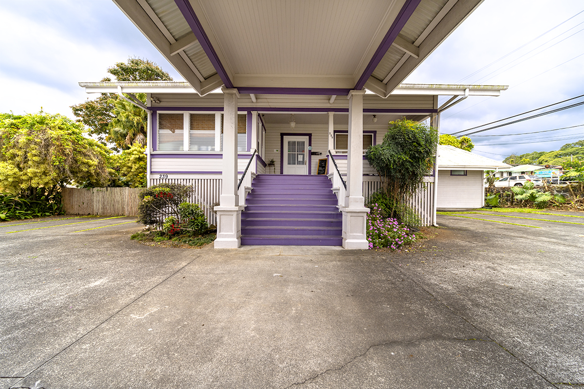 239 Haili St Property Photo 7
