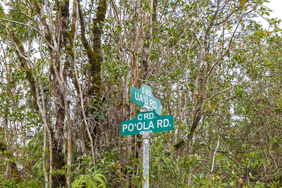 Road 5 (uau) Property Photo 2