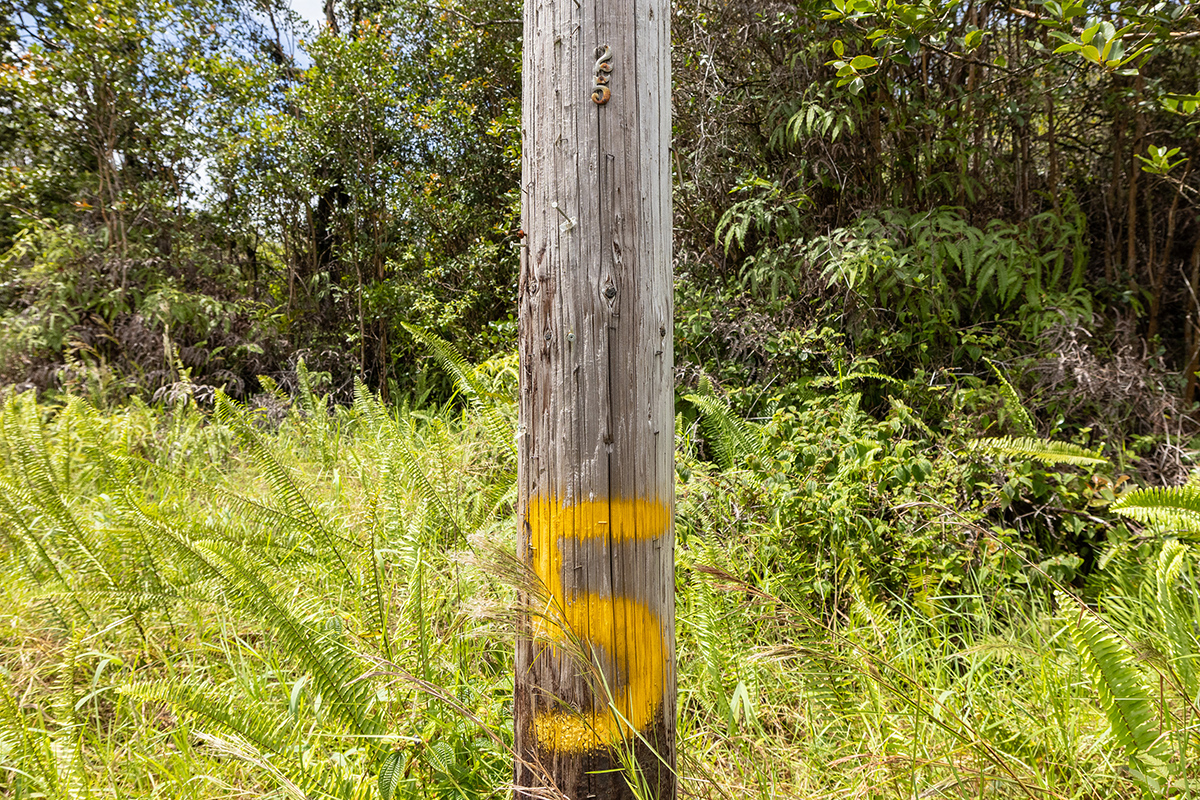 Road 5 (uau) Property Photo 5