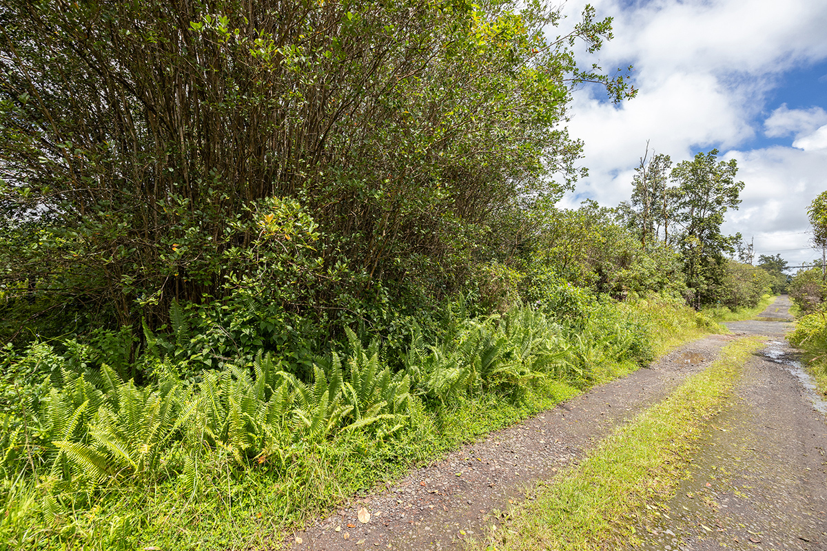 Road 5 (uau) Property Photo 6