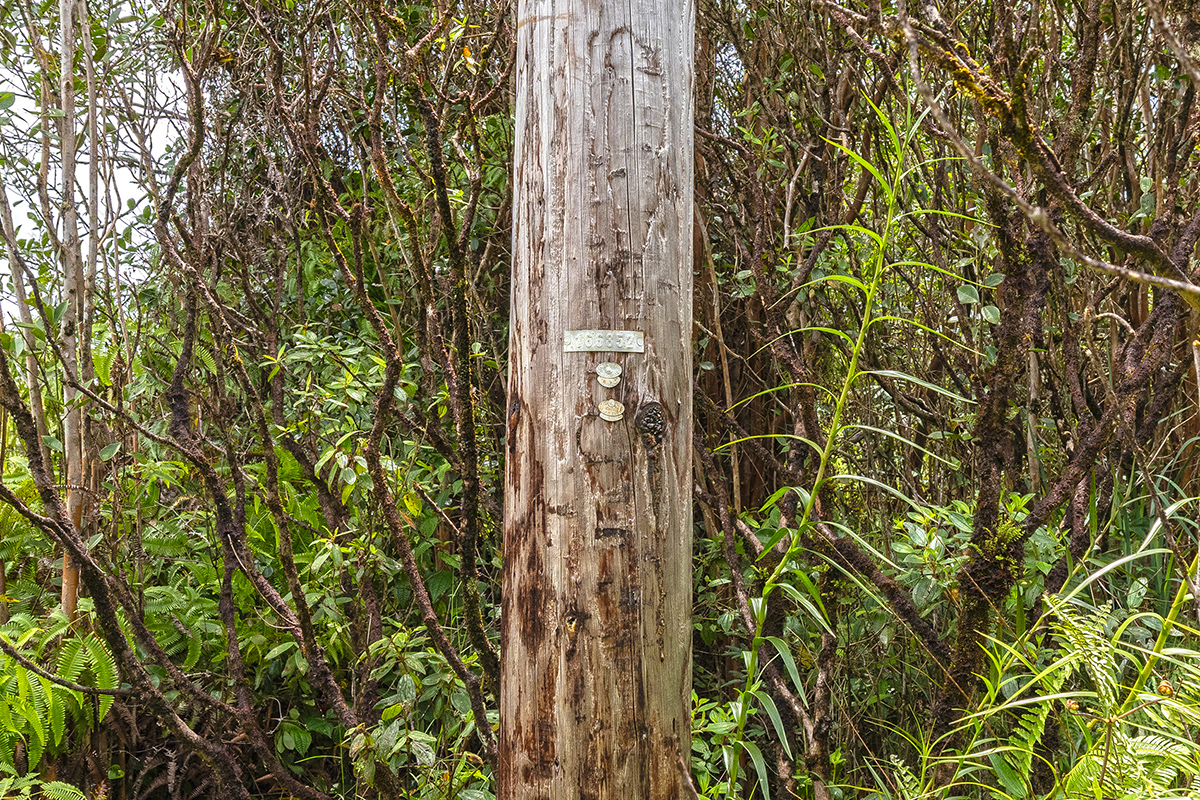 Road 5 (uau) Property Photo 7