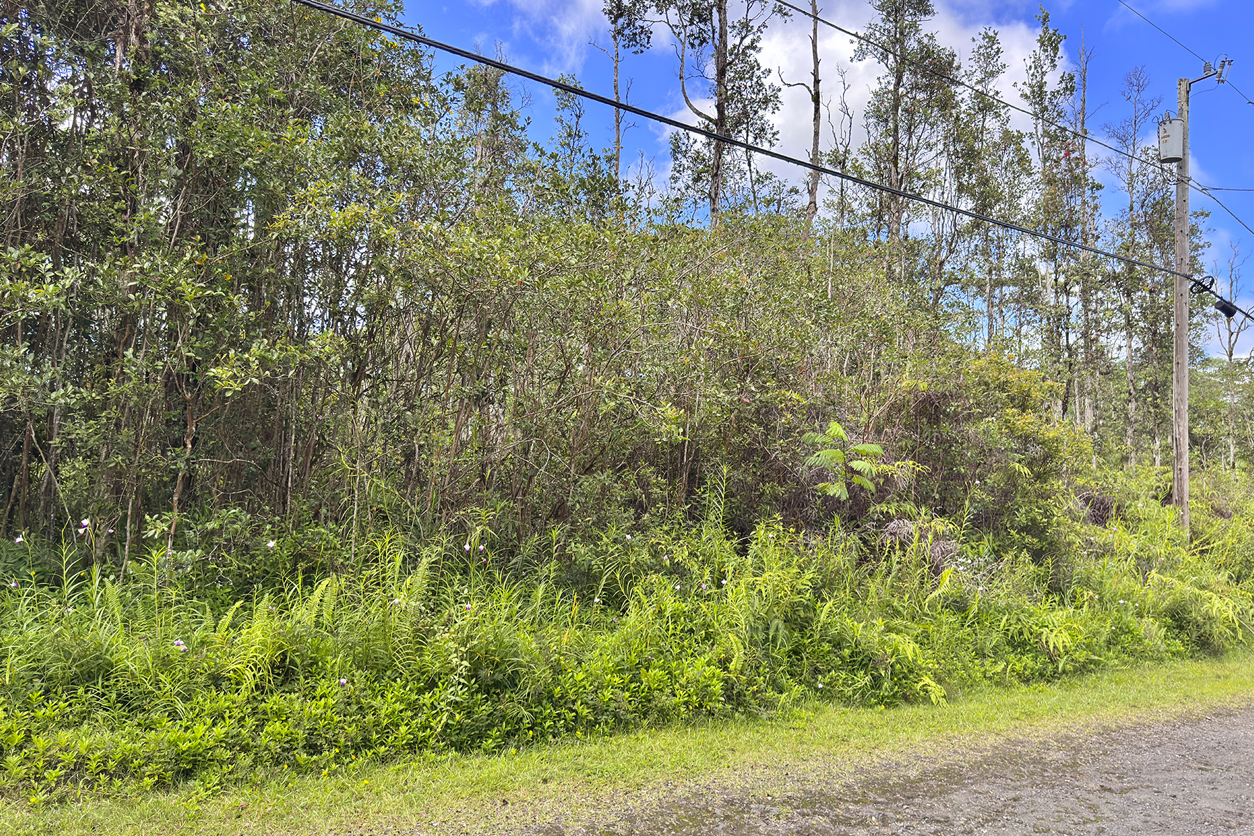 Mauna Kea Rd Property Photo 1