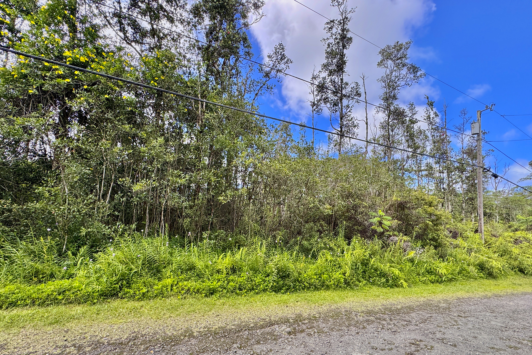 Mauna Kea Rd Property Photo 7