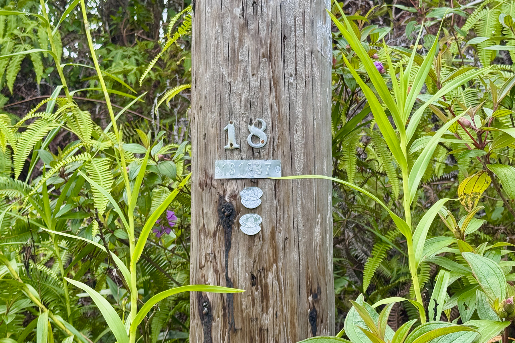 Mauna Kea Rd Property Photo 8
