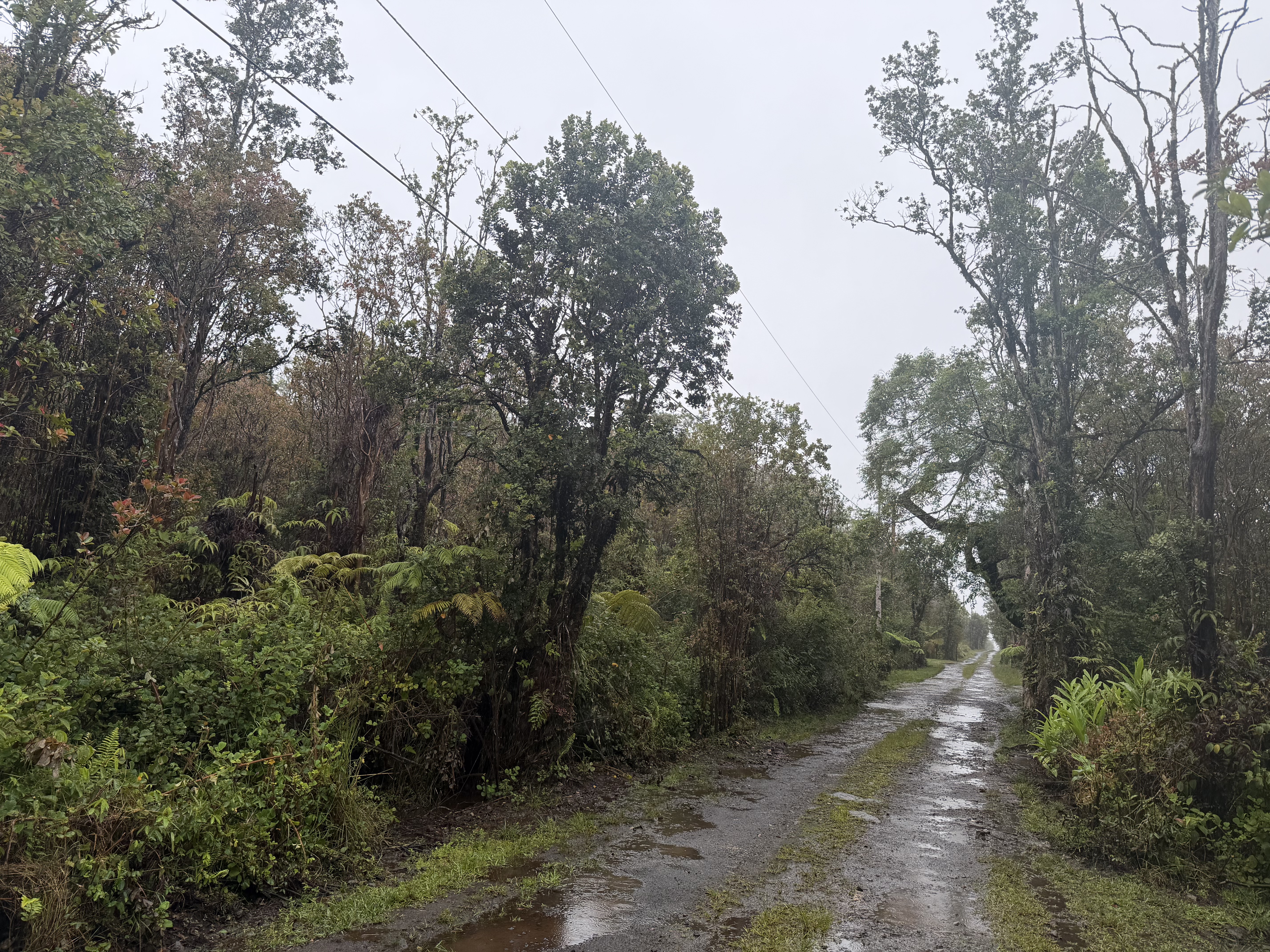 ROAD 9 Property Photo 1