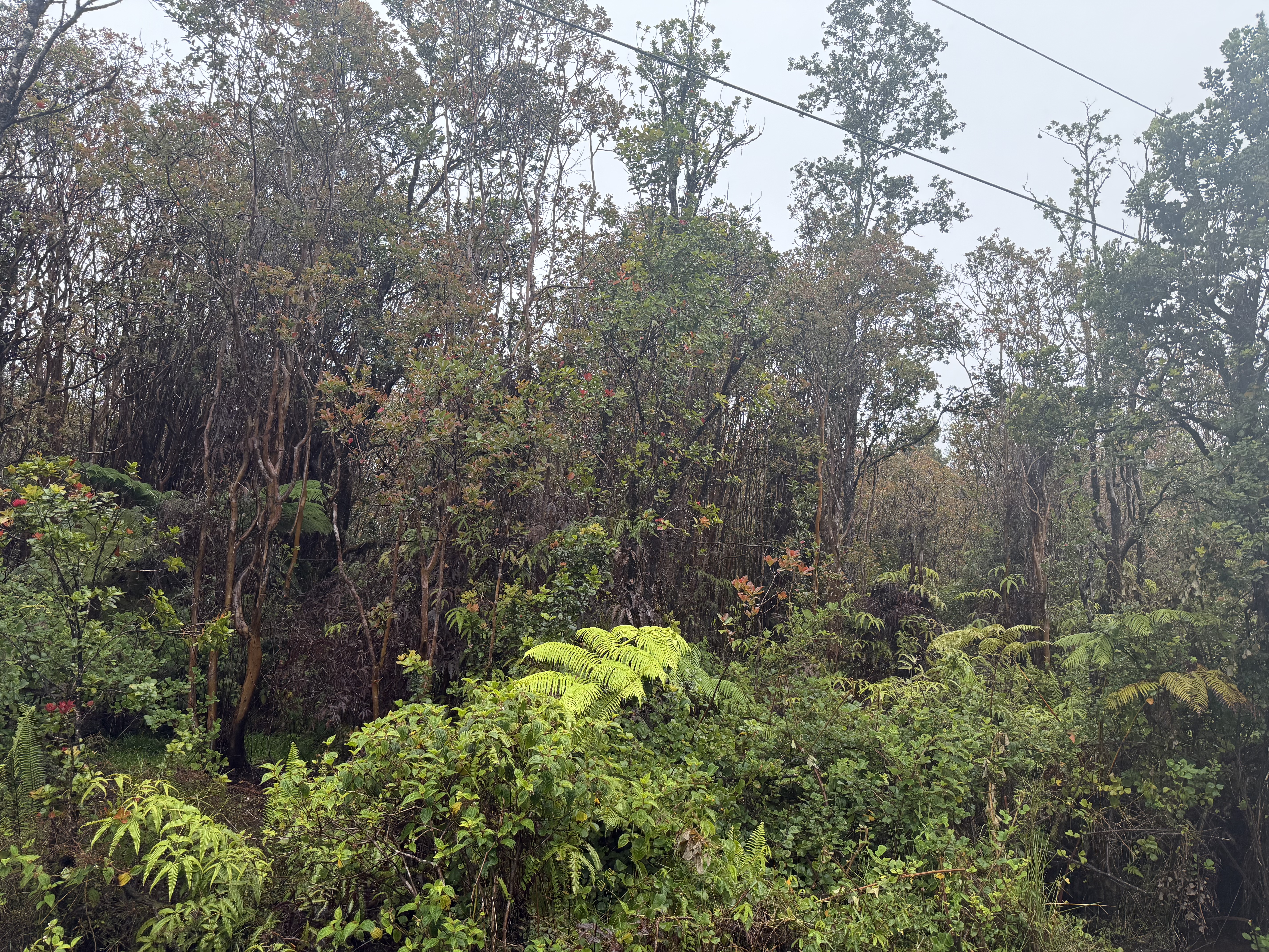 Road 9 Property Photo 2