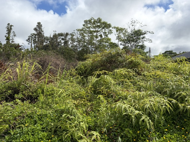 Hapuu Dr Property Photo 1
