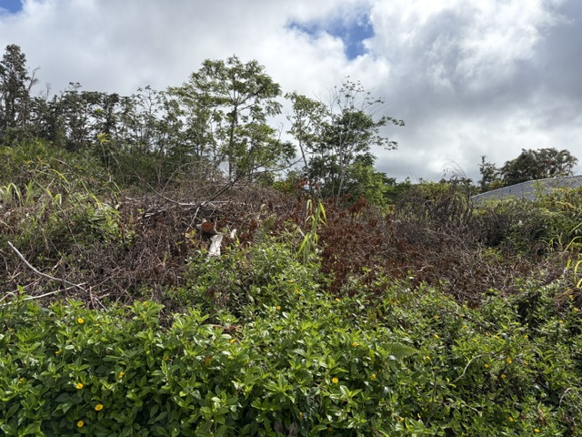 Hapuu Dr Property Photo 2
