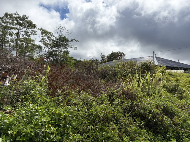 Hapuu Dr Property Photo 4