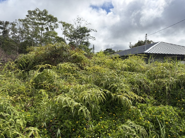 Hapuu Dr Property Photo 5