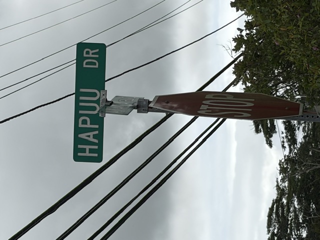 Hapuu Dr Property Photo 7
