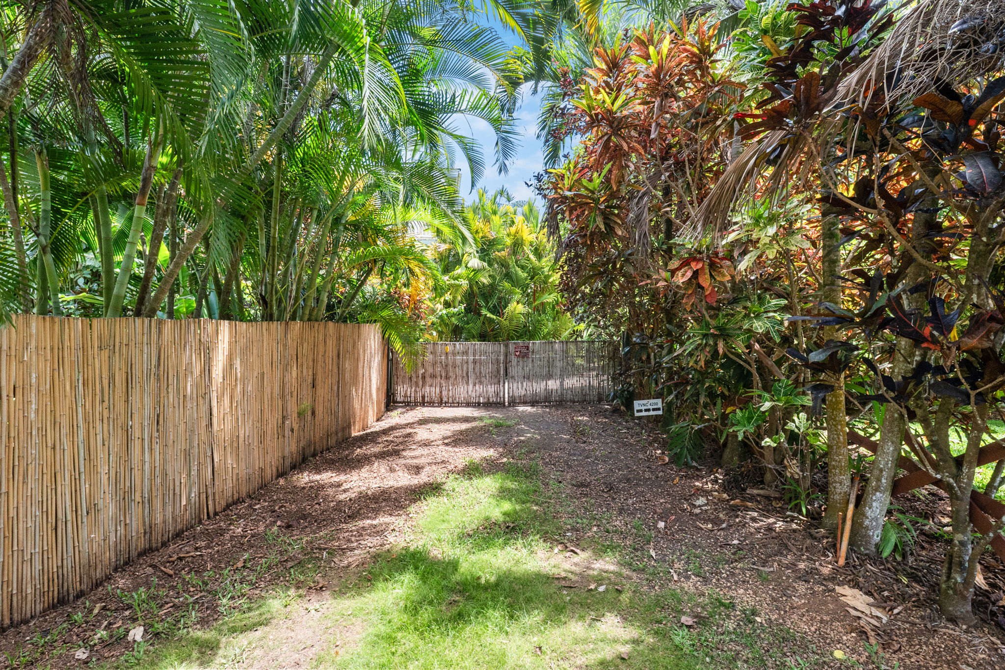 1234 Moloaa Rd Property Photo 16