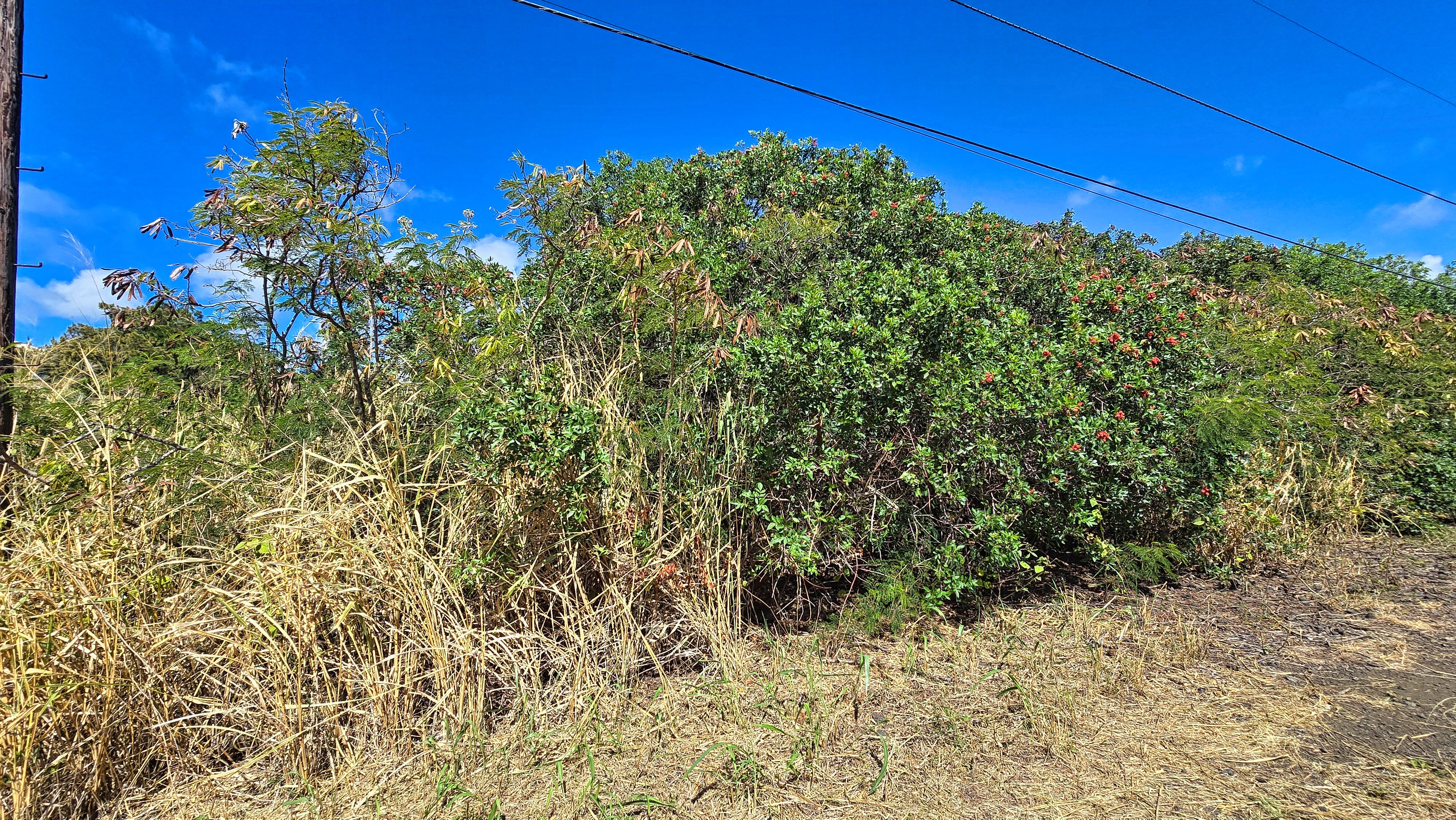 Pele St Property Photo 7