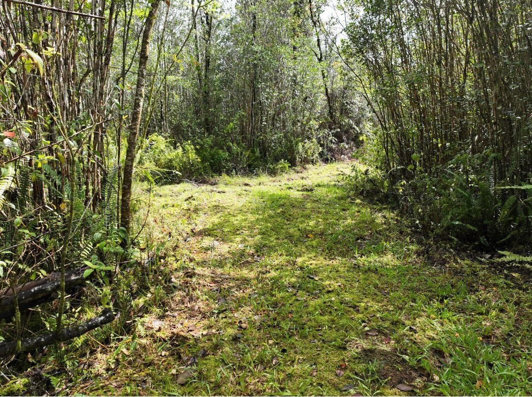 16-1437 Opeapea Rd Property Photo 5