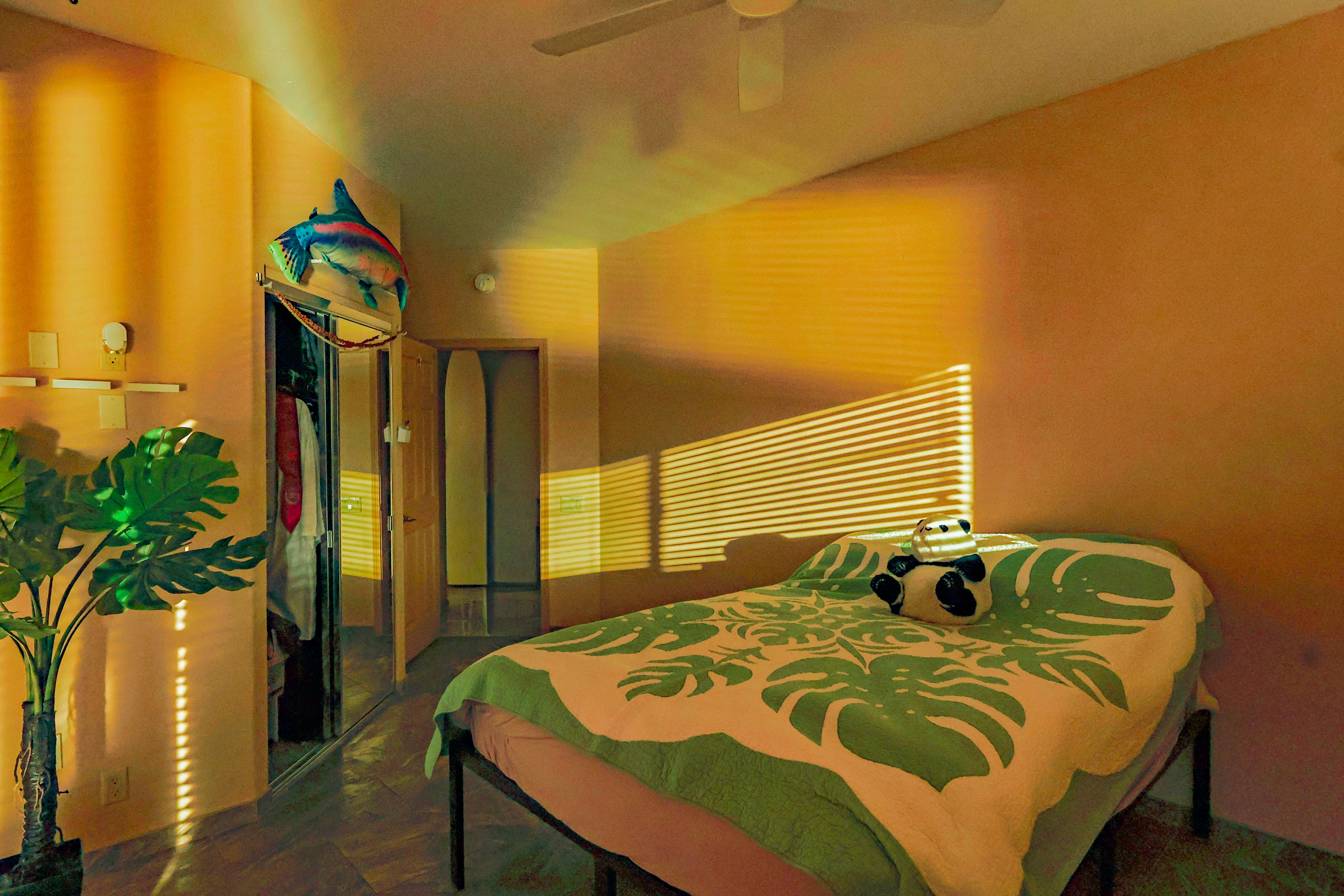 4272 Iliohu Pl Property Photo 24