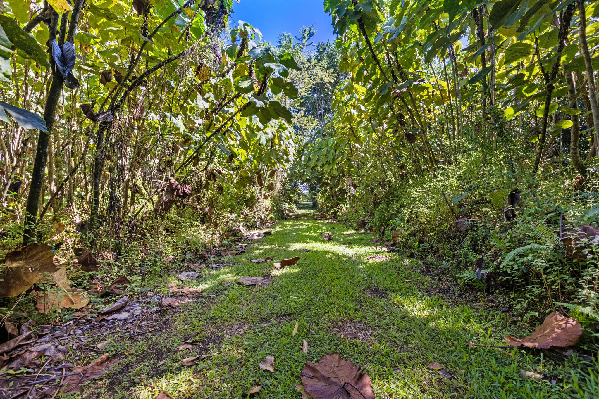 15-2649 Government Beach Rd Property Photo 7