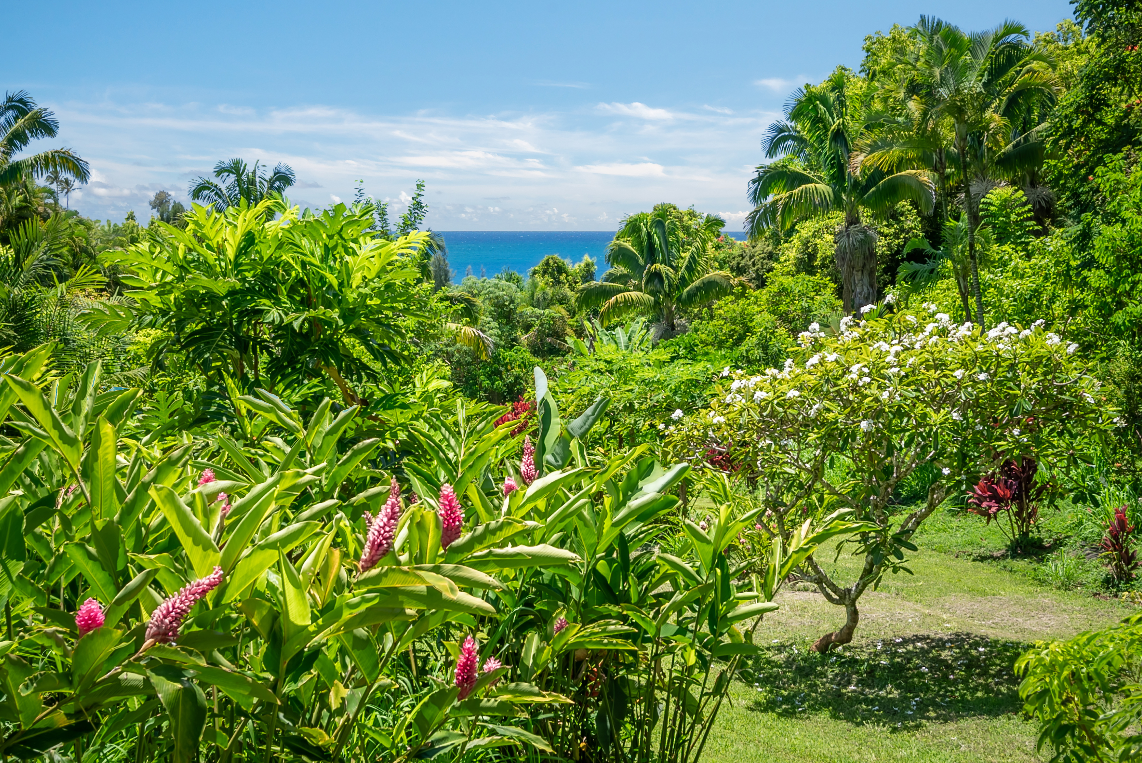 2874-a Kauapea Rd Property Photo 27