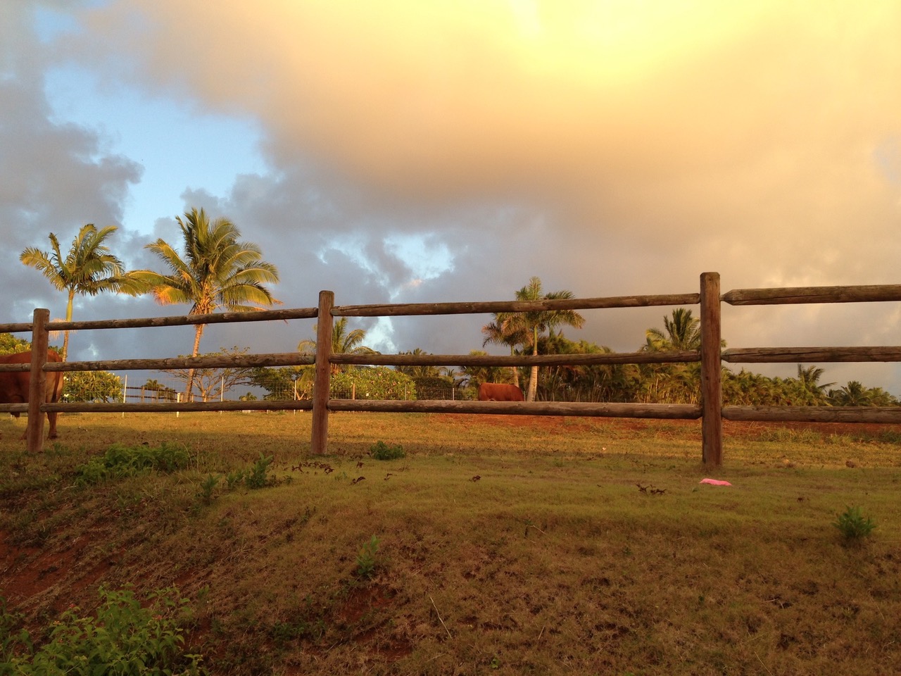 2874-a Kauapea Rd Property Photo 30