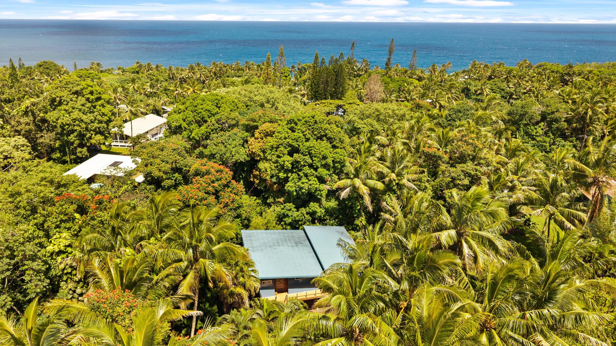 12-7235 Mauka Nui St Property Photo 27