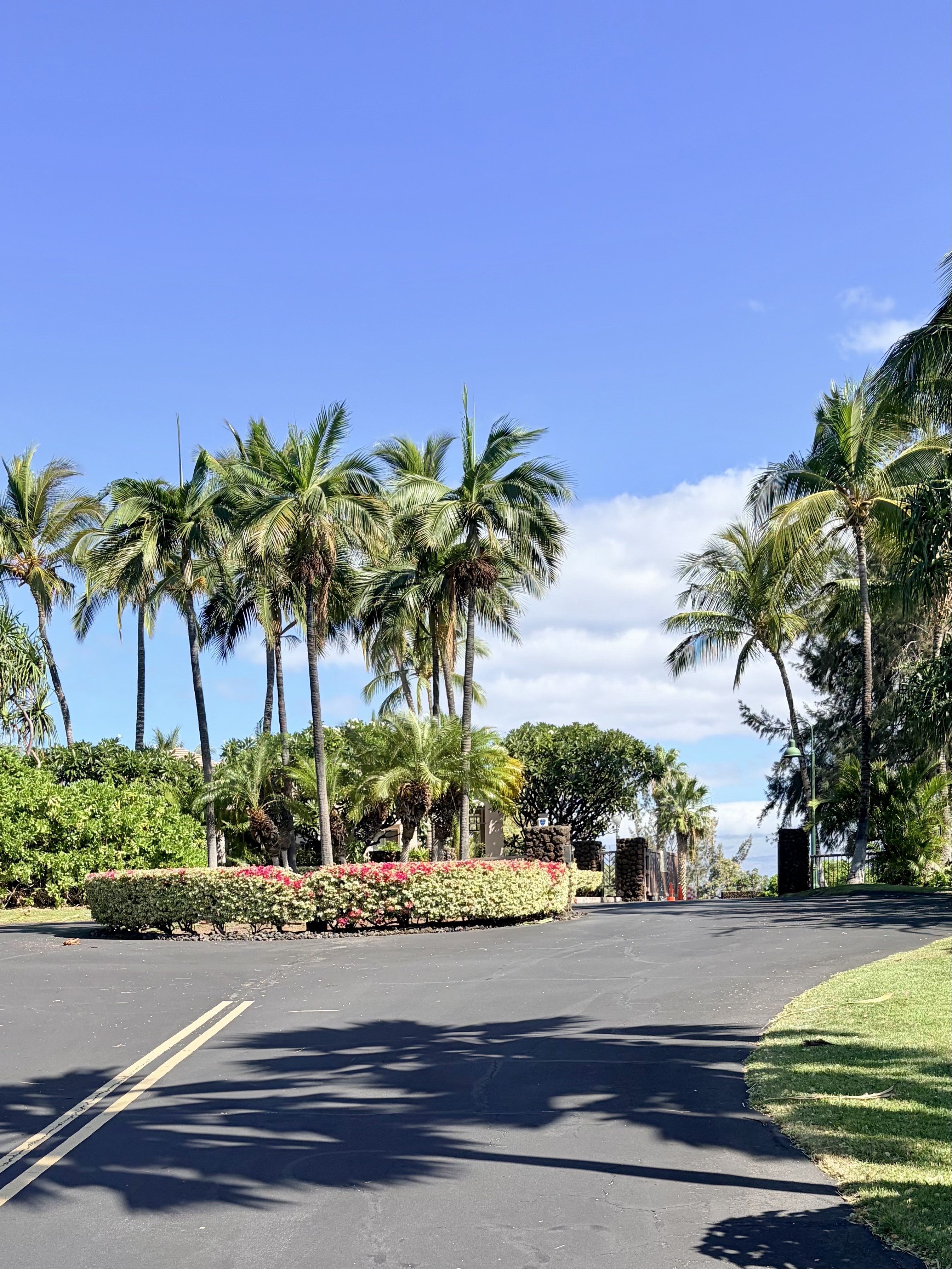 69-555 Waikoloa Beach Dr 802 Property Photo 20