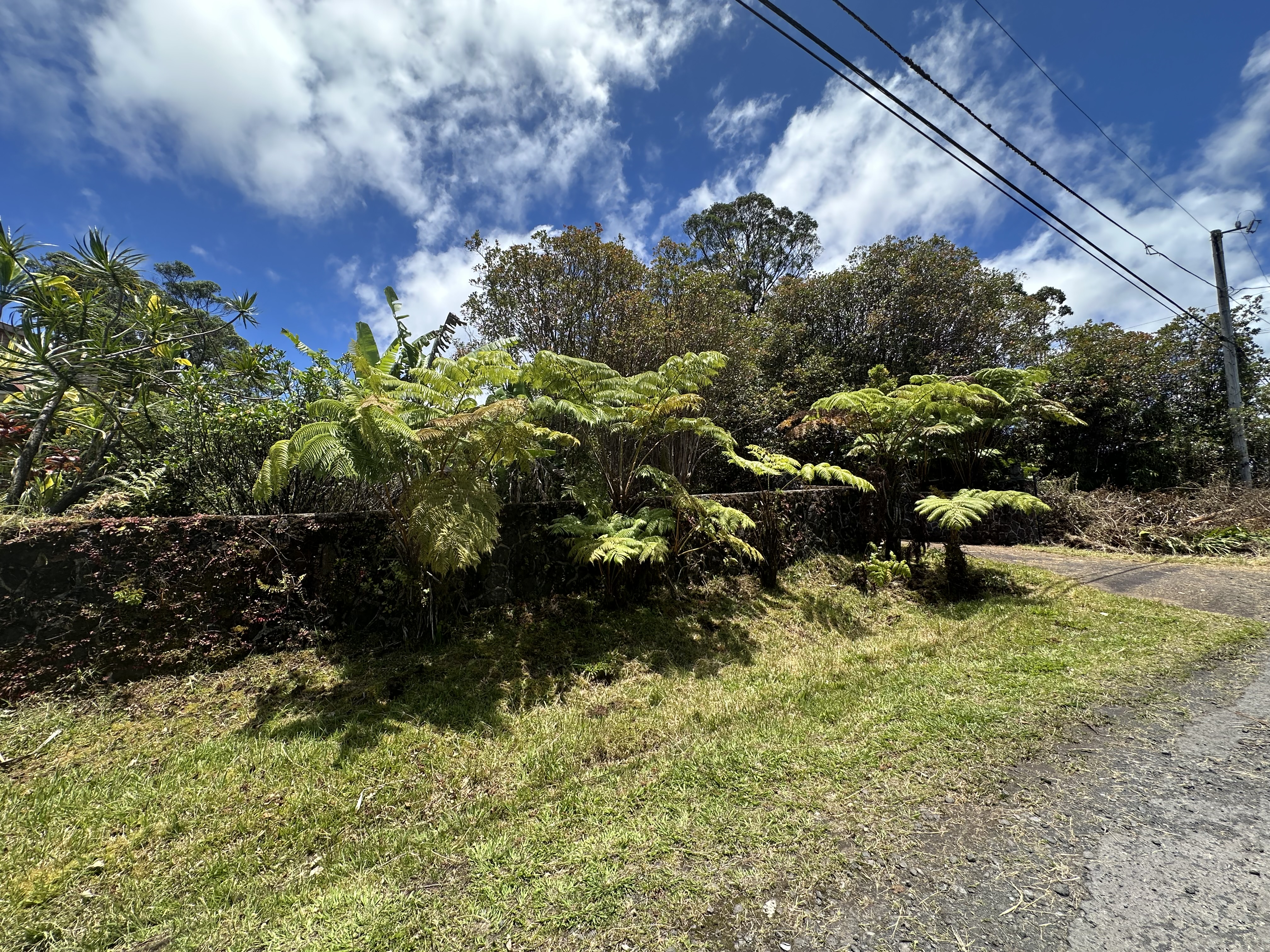 Hohiu St Property Photo 3