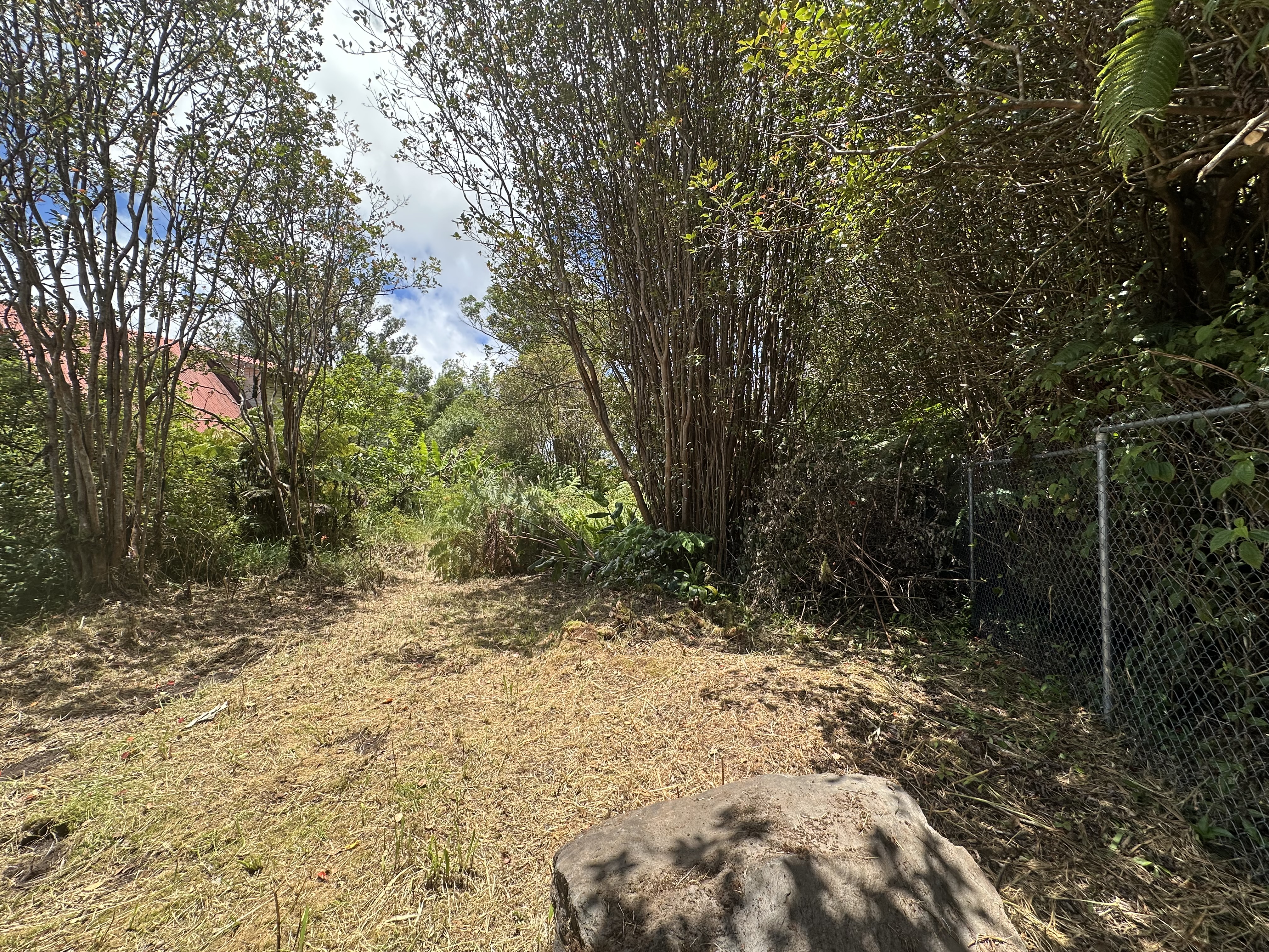 Hohiu St Property Photo 5
